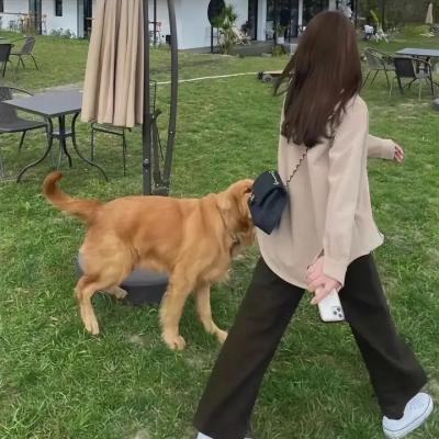 极品闺蜜2019粤语